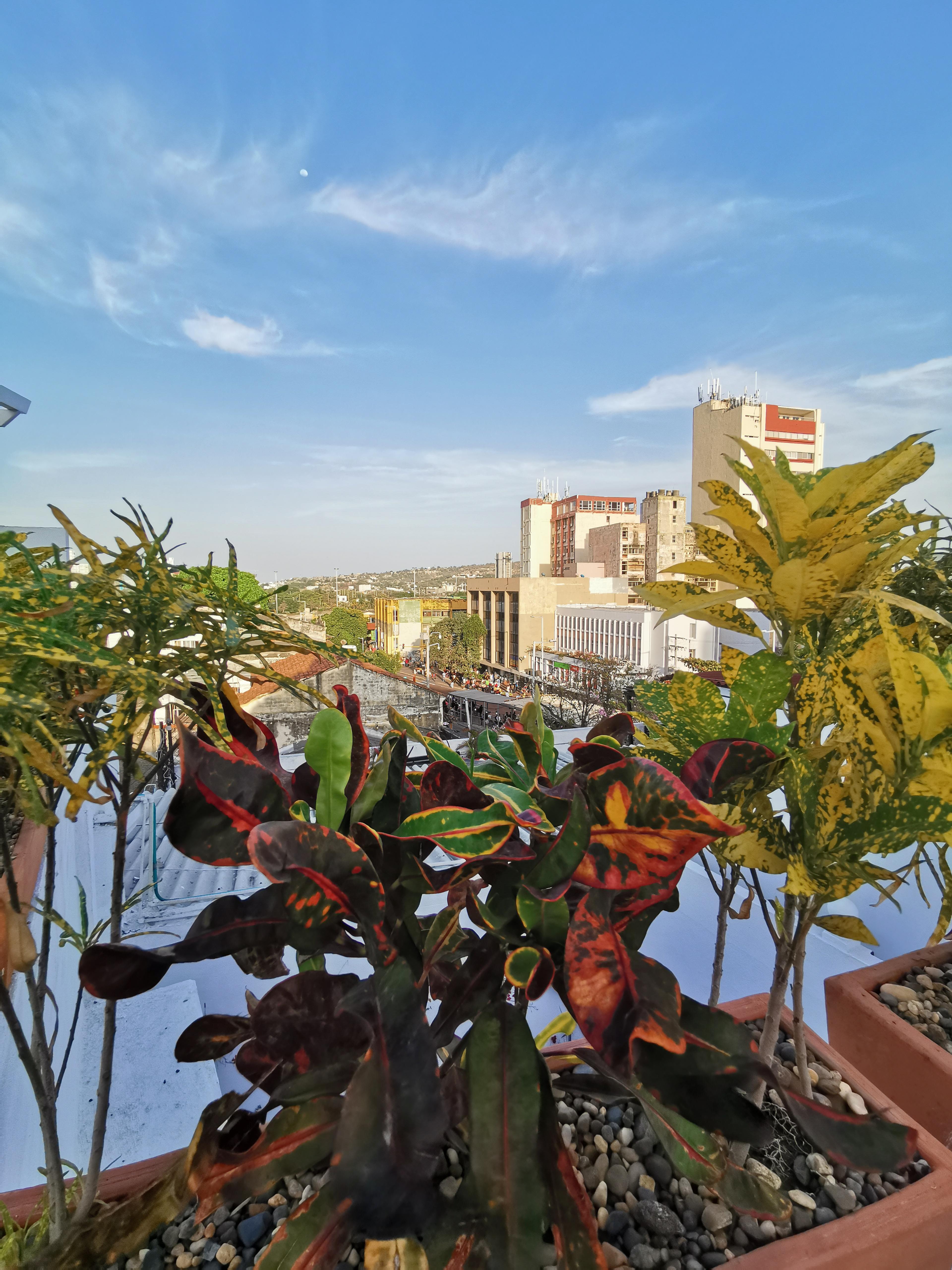 Luka Cartagena Hotel Luaran gambar